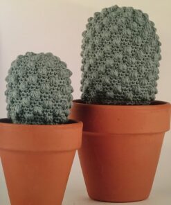 voorbeeld van cactussen haakboek