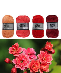 Ton sur ton rood - Rio kleuren - 4 bollen