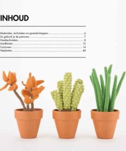 cactussen haken inhoudsopgave haakboek
