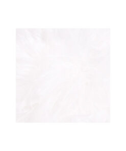 fauve wit 011 dichtbij