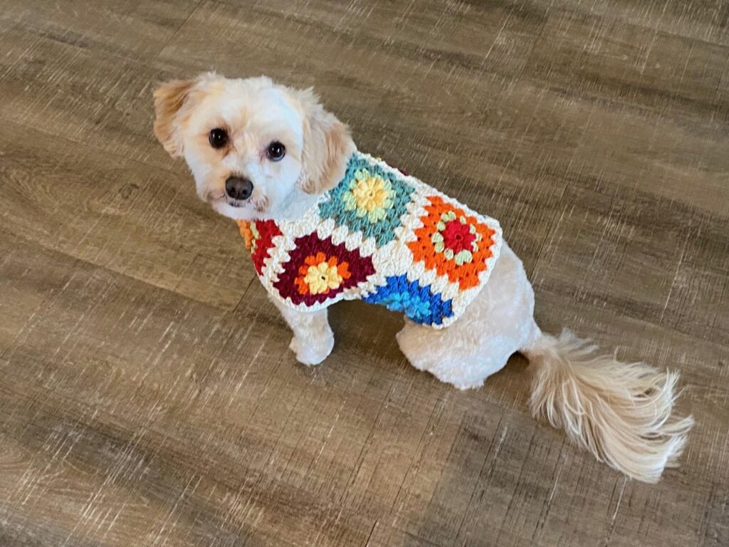 vestje voor de hond met Rio katoen