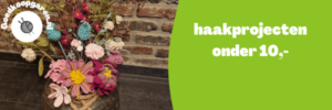 haakprojecten onder 10 euro