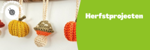 herfstprojecten haken