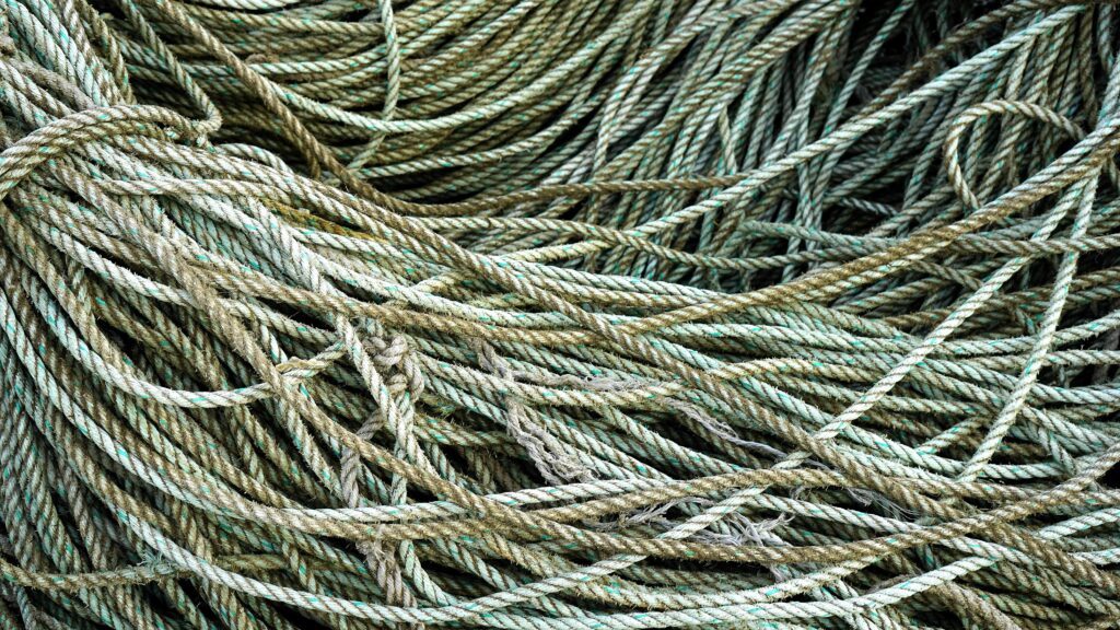 pexels-mikebirdy-283148 garens in de knoop